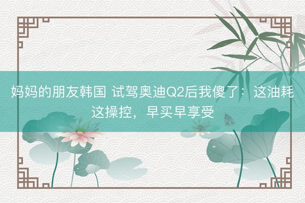 妈妈的朋友韩国 试驾奥迪Q2后我傻了：这油耗这操控，早买早享受