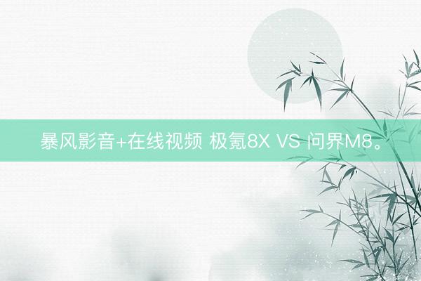 暴风影音+在线视频 极氪8X VS 问界M8。