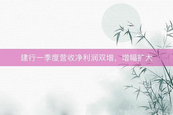 建行一季度营收净利润双增，增幅扩大