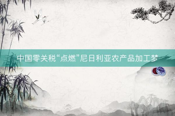 中国零关税“点燃”尼日利亚农产品加工梦