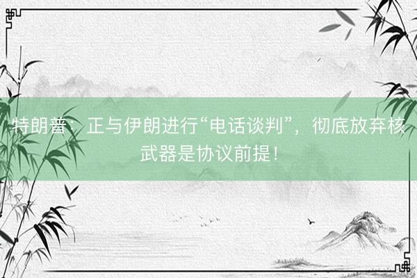 特朗普：正与伊朗进行“电话谈判”，彻底放弃核武器是协议前提！