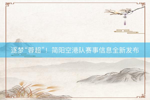 逐梦“蓉超”！简阳空港队赛事信息全新发布