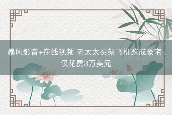 暴风影音+在线视频 老太太买架飞机改成豪宅 仅花费3万美元