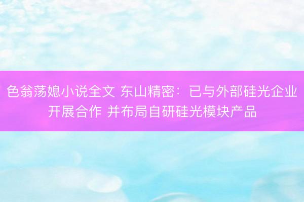 色翁荡媳小说全文 东山精密：已与外部硅光企业开展合作 并布局自研硅光模块产品