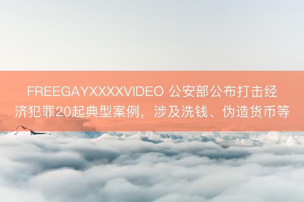 FREEGAYXXXXVIDEO 公安部公布打击经济犯罪20起典型案例，涉及洗钱、伪造货币等