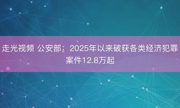 走光视频 公安部：2025年以来破获各类经济犯罪案件12.8万起