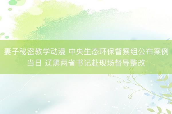 妻子秘密教学动漫 中央生态环保督察组公布案例当日 辽黑两省书记赴现场督导整改