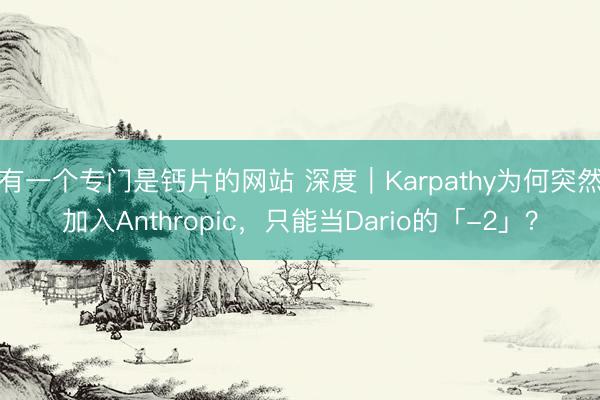有一个专门是钙片的网站 深度｜Karpathy为何突然加入Anthropic，只能当Dario的「-2」？