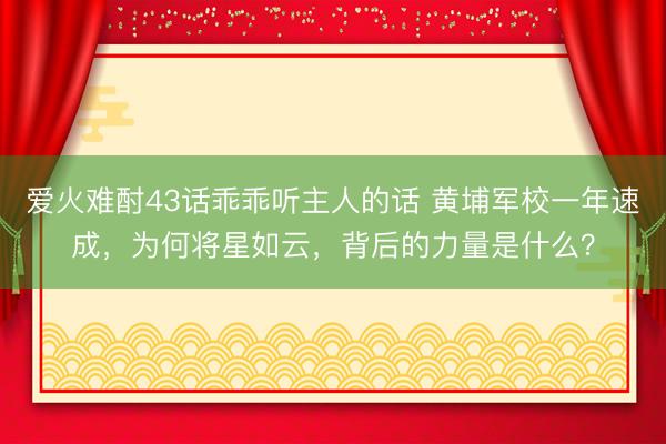 爱火难酎43话乖乖听主人的话 黄埔军校一年速成，为何将星如云，背后的力量是什么？