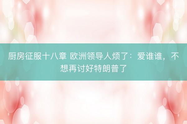 厨房征服十八章 欧洲领导人烦了：爱谁谁，不想再讨好特朗普了