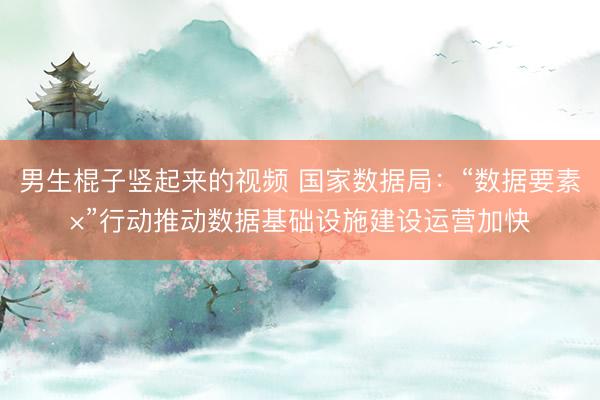 男生棍子竖起来的视频 国家数据局：“数据要素×”行动推动数据基础设施建设运营加快