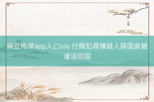 麻豆传煤app入口ios 行贿犯罪嫌疑人薛国泉被遣返回国