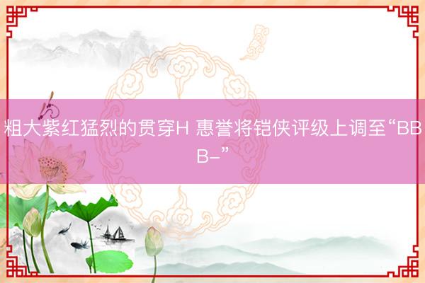 粗大紫红猛烈的贯穿H 惠誉将铠侠评级上调至“BBB-”