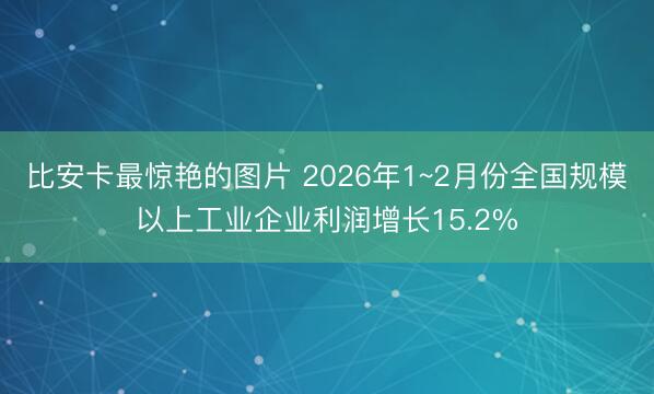 比安卡最惊艳的图片 2026年1~2月份全国规模以上工业企业利润增长15.2%