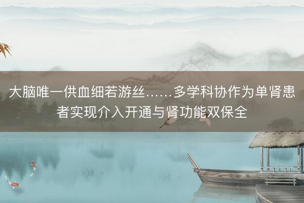 大脑唯一供血细若游丝……多学科协作为单肾患者实现介入开通与肾功能双保全