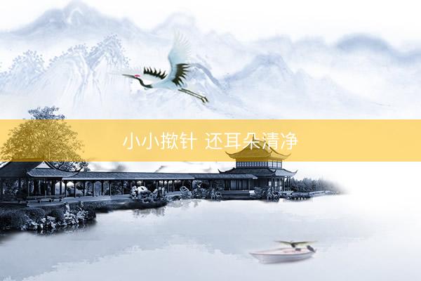 小小揿针 还耳朵清净