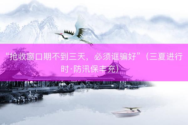 “抢收窗口期不到三天，必须诓骗好”（三夏进行时·防汛保丰充） 