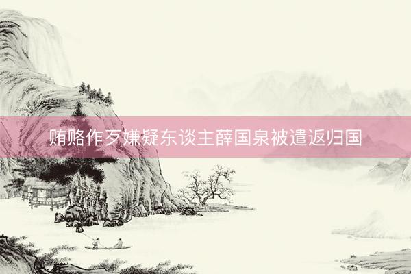 贿赂作歹嫌疑东谈主薛国泉被遣返归国