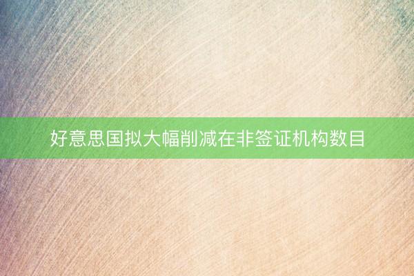 好意思国拟大幅削减在非签证机构数目