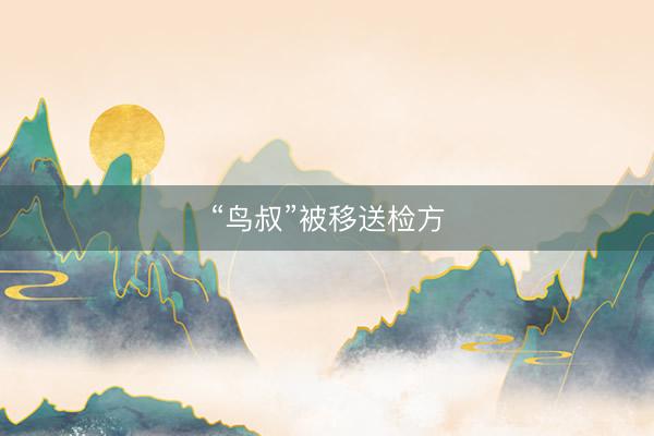 “鸟叔”被移送检方