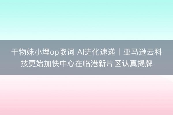 干物妹小埋op歌词 AI进化速递丨亚马逊云科技更始加快中心在临港新片区认真揭牌