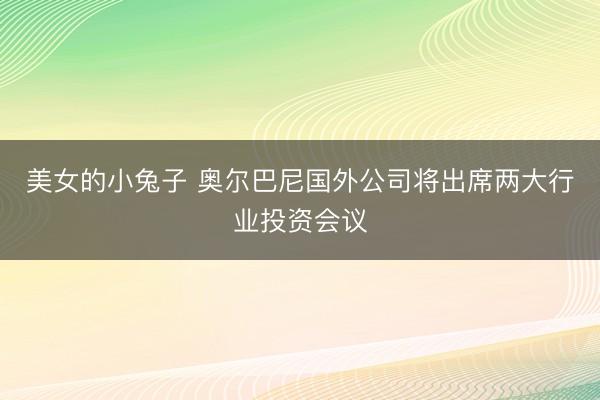 美女的小兔子 奥尔巴尼国外公司将出席两大行业投资会议