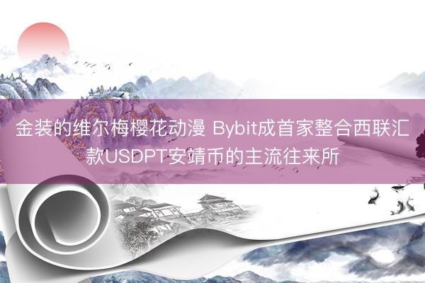 金装的维尔梅樱花动漫 Bybit成首家整合西联汇款USDPT安靖币的主流往来所