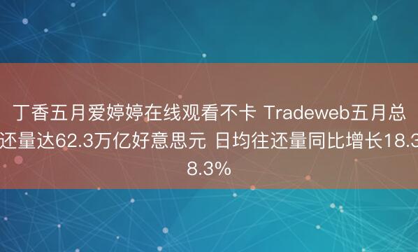 丁香五月爱婷婷在线观看不卡 Tradeweb五月总往还量达62.3万亿好意思元 日均往还量同比增长18.3%