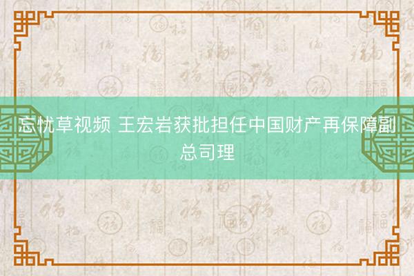 忘忧草视频 王宏岩获批担任中国财产再保障副总司理