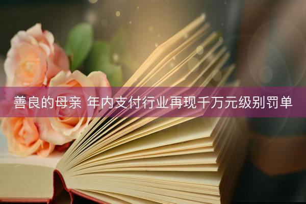 善良的母亲 年内支付行业再现千万元级别罚单