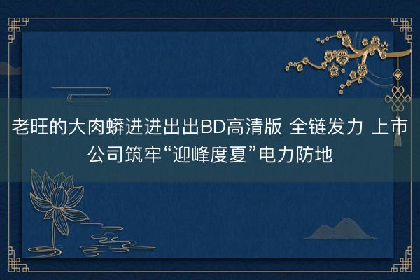 老旺的大肉蟒进进出出BD高清版 全链发力 上市公司筑牢“迎峰度夏”电力防地
