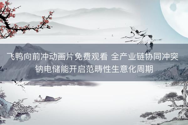 飞鸭向前冲动画片免费观看 全产业链协同冲突 钠电储能开启范畴性生意化周期