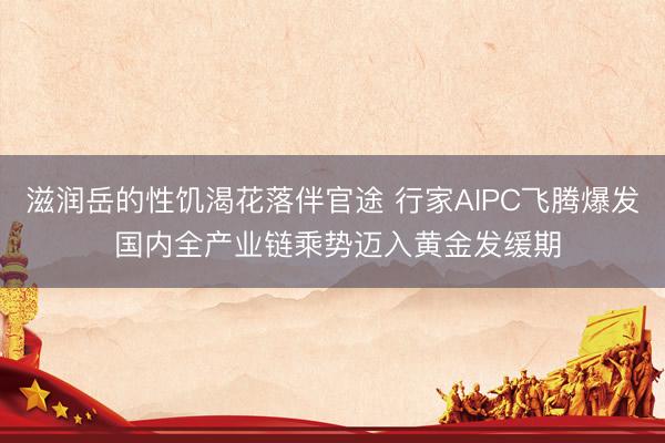 滋润岳的性饥渴花落伴官途 行家AIPC飞腾爆发 国内全产业链乘势迈入黄金发缓期