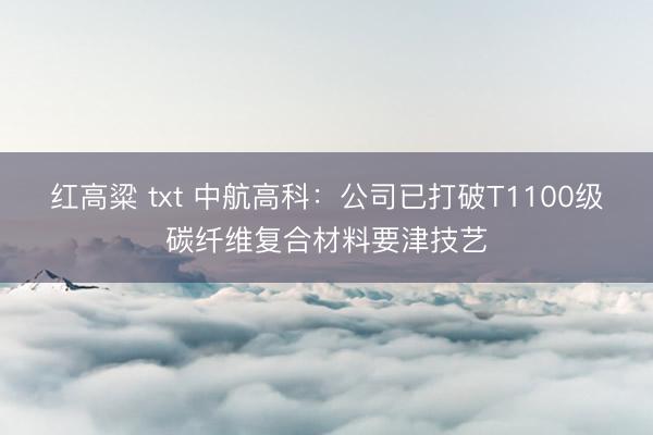 红高粱 txt 中航高科：公司已打破T1100级碳纤维复合材料要津技艺