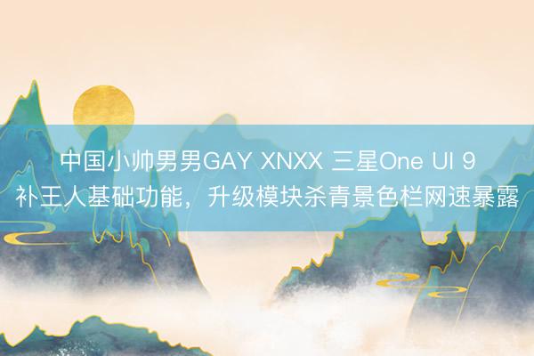 中国小帅男男GAY XNXX 三星One UI 9补王人基础功能，升级模块杀青景色栏网速暴露