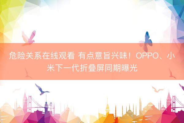 危险关系在线观看 有点意旨兴味！OPPO、小米下一代折叠屏同期曝光
