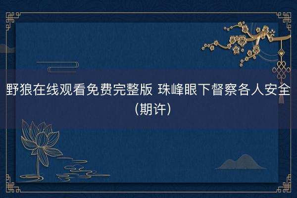 野狼在线观看免费完整版 珠峰眼下督察各人安全（期许）