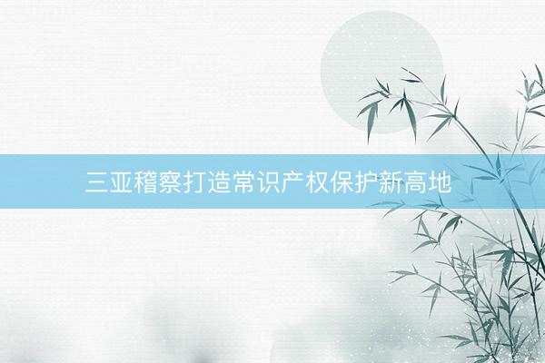 三亚稽察打造常识产权保护新高地