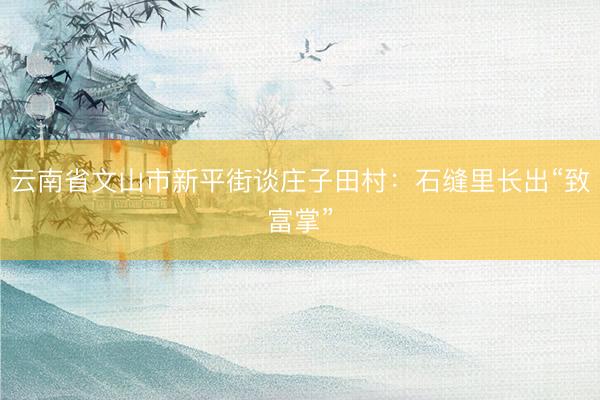 云南省文山市新平街谈庄子田村：石缝里长出“致富掌”