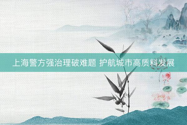 上海警方强治理破难题 护航城市高质料发展